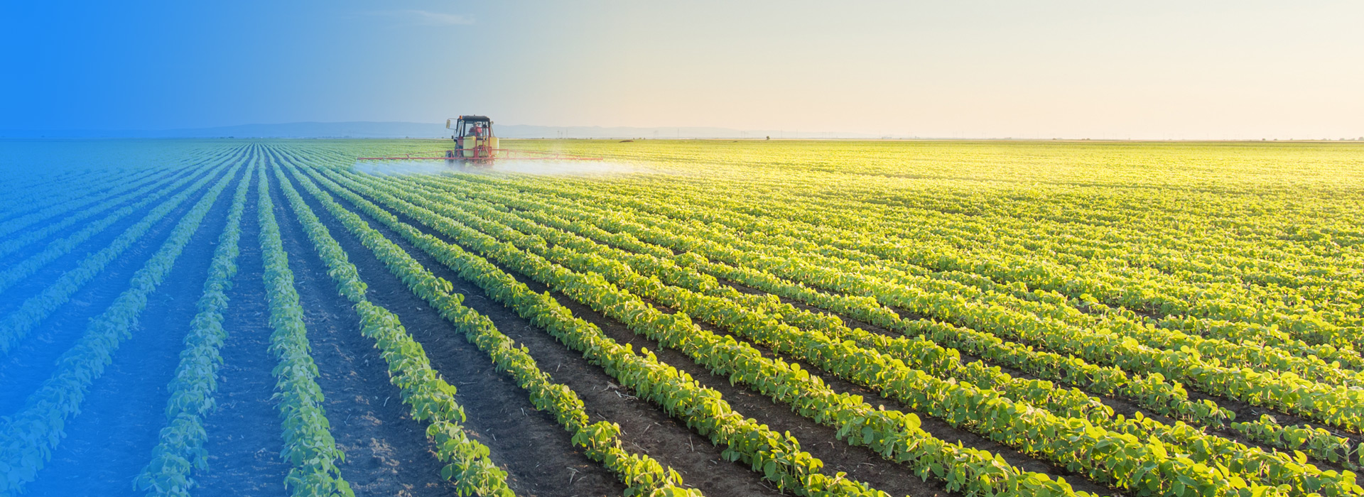 云顶集团农业公司